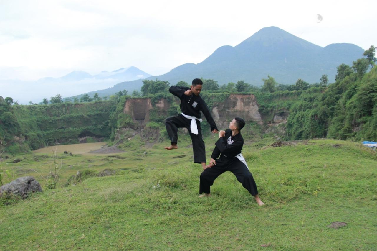 <a href="https://www.pshterate.com/"><img src="Cara Memulai Belajar Gaya Pencak Silat.jpeg" alt="Gaya Pencak Silat: Kesenian Tradisional yang Penuh Makna"></a>