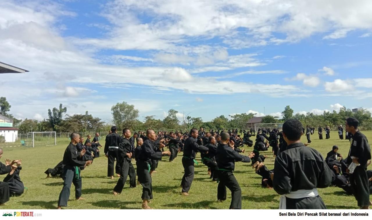 <a href="https://www.pshterate.com/"><img src="Seni Bela Diri Pencak Silat berasal dari Indonesia Gaya-gaya Seni Bela Diri Pencak Silat.jpg" alt="Seni Bela Diri Pencak Silat berasal dari Indonesia"></a>