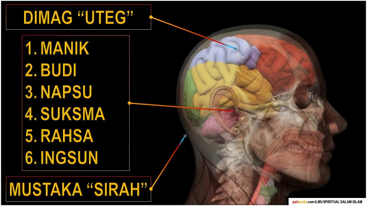 Ilmu Spiritual dalam Islam