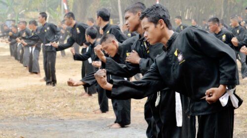 <a href="https://pshterate.com/"><img src="Gaya Pencak Silat.jpeg" alt="Gaya Pencak Silat: Kesenian Tradisional yang Penuh Makna"></a>